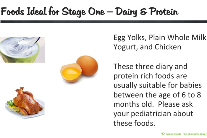 Stage 1 Baby Foods – Maggie Meade – Author, Digital Marketing Content